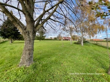 Dpt Allier (03) A vendre à Varennes sur Allier - Longère T6 garages, grande terrasse couverte, terrain clos et arboré de 4621m2