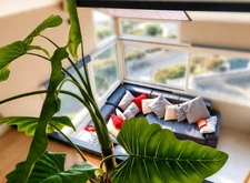 Duplex à Biscarrosse Plage : votre pied-à-terre au bord de l’océan