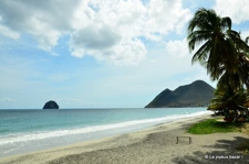 LE DIAMANT – FONDS DE COMMERCE PRÊT-À-PORTER RENTABLE – PLAGE ET CENTRE-VILLE À PIED à vendre (972)