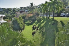 Appartement  2 pièces LES TROIS ILETS- Vue Mer – Proximité Plage – Terrasse + Box - A Vendre (972)