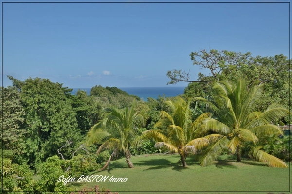 SAINTE MARIE- Maison P7 de 322 m² habitable - Terrain de 4 557,00 m² -  Piscine - Garage - sous sol - Dpt Martinique (972)