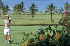 LES TROIS ILETS (972) House for sale, 6 rooms - Swimming pool - 1749m2 plot - 309m2 floor area and 153m2 interior