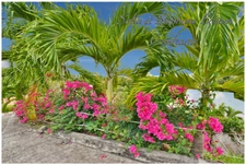 For sale - Sainte-Luce Martinique - Property with 5 independent dwellings - 241 m² of living space - Sea view - P10