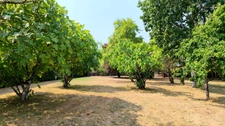 🌲 Maison à ossature bois, elle est faite pour vous ! 🏡