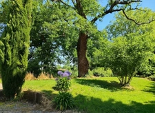 🌟 Domaine d'Exception à Aire-sur-l’Adour : Un Écrin de Nature en Plein Cœur de Ville