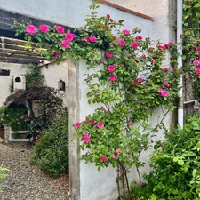 🏡 Havre de Paix & Calme Absolu 🕊️