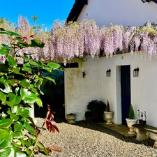 🏡 Havre de Paix & Calme Absolu 🕊️