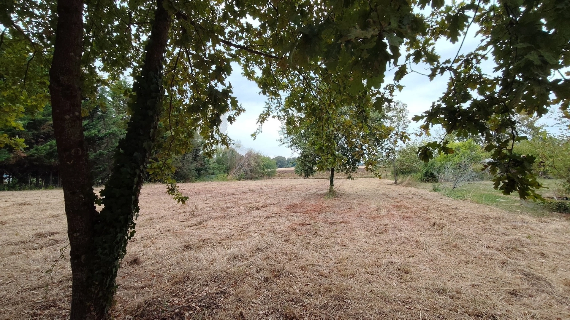 Terrain à vendre de 3 620,00 m² LE HOUGA (32) · 25 000 €