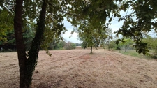 Terrain à vendre de 3 620,00 m² LE HOUGA (32)