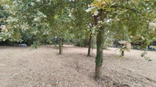 Terrain à vendre de 3 620,00 m² LE HOUGA (32)