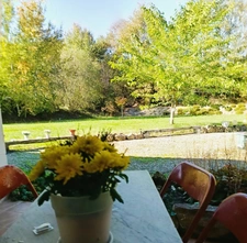 Havre de paix contemporain avec Spa et parc arboré à Perchède 🌳🦆