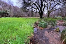 Terrain non constructible - 7138m² de nature - Prairie, ruisseau et tranquillité absolue Quimper (29)