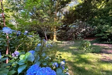 Terrain en zone naturelle et forestière boisé et fleuri de 4 880,00 m² proche de QUIMPER (29)