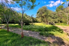 Terrain en zone natuelle protégée non constructible - 7138m² de nature - Prairie, ruisseau et tranquillité absolue Quimper (29)
