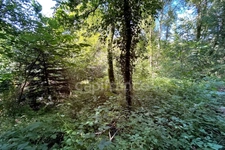 Terrain en zone naturelle et forestière boisé et fleuri de 4 880,00 m² proche de QUIMPER (29)