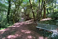 Terrain en zone naturelle et forestière boisé et fleuri de 4 880,00 m² proche de QUIMPER (29)