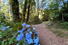Terrain en zone naturelle et forestière boisé et fleuri de 4 880,00 m² proche de QUIMPER (29)