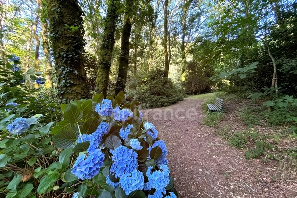 Terrain en zone naturelle et forestière boisé et fleuri de 4 880,00 m² proche de QUIMPER (29)