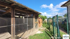 Maison à vendre - 6 pièces, 156m² à Avrainville - sous-sol total et terrain arboré de 1 555 m² 