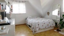 RANTZWILLER (68) : à vendre maison familiale 8 pièces avec jardin et piscine 