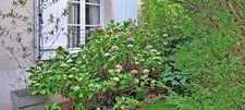 Maison à vendre 6 pièces  (95)
