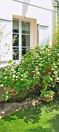 Maison à vendre 6 pièces  (95)
