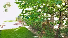 Maison à vendre 6 pièces  (95)