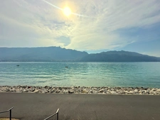 A vendre AIX LES BAINS / TRESSERVE (73), MURS restaurant 250 m2, vue panoramique Lac du Bourget 