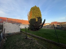 Maison à vendre 9 pièces HASNON (59)