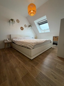 Maison à vendre  pièces  (62)