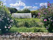 Maison au Plessis Grammoire sur un magnifique terrain de plus de 1500m2 !