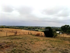  Maison plain‑pied avec sous‑sol et grand terrain, Grissais 