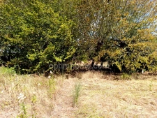 Ancien domaine des Sœurs – Un lieu d’exception chargé d’histoire