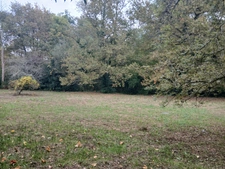 Créon – Parcelle foncière 3006 m² avec potentiel de découpe