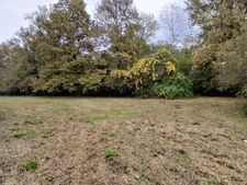 Créon – Parcelle foncière 3006 m² avec potentiel de découpe