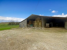 Maison pierre 5 hectares de terrain LAPERCHE (47)