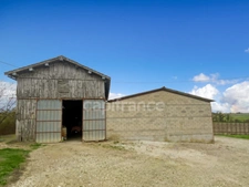 Maison pierre 5 hectares de terrain LAPERCHE (47)