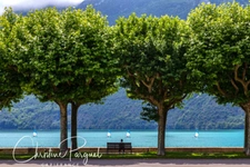 Appartement d'exception 4 pièces - 96m2 - Terrasse 58m2 à vendre Lac-AIX LES BAINS (73)