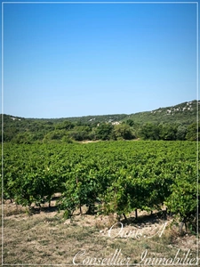 Maison sur exploitation agricole 