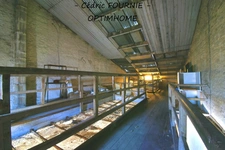 IMMEUBLE DE RAPPORT À RÉNOVER – INVESTISSEMENT IMMOBILIER – LOCAL COMMERCIAL – CENTRE-VILLE D'AUXI-LE-CHÂTEAU (62)