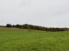 Maison ancienne avec grange et dépendances – Laroche-l’Abeille (87)