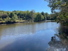 Etang de 6000 m2 sur parcelle d'1,6 hectare