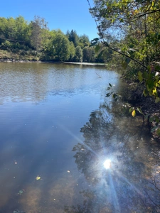 Etang de 6000 m2 sur parcelle d'1,6 hectare