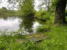  Étang + terrain, nature & potentiel  à SAINT NICOLAS COURBEFY (87)