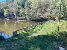 Etang de 6000 m2 sur parcelle d'1,6 hectare