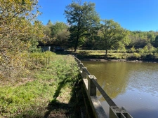 Etang de 6000 m2 sur parcelle d'1,6 hectare