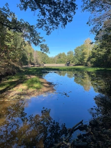 Etang de 6000 m2 sur parcelle d'1,6 hectare