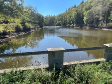 Etang de 6000 m2 sur parcelle d'1,6 hectare