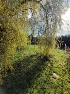 Maison à vendre 10 pièces proche de VITTEAUX (21)