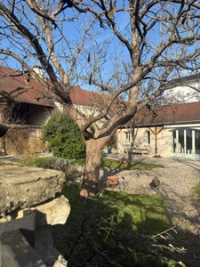 Maison à vendre 8 pièces VISERNY (21)